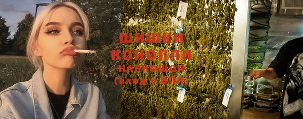 крисы Белокуриха