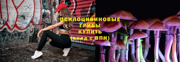 крисы Белокуриха