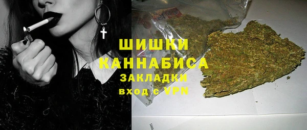крисы Белокуриха