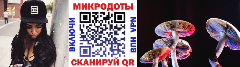 Псилоцибиновые грибы ЛСД  наркотики  Бирюч 